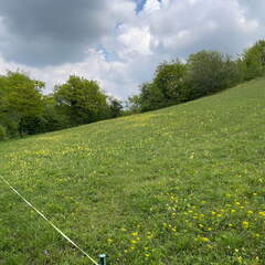 22-04-25 13-59-34 0635